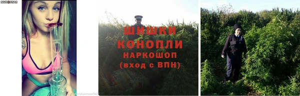 Альфа ПВП Куйбышев