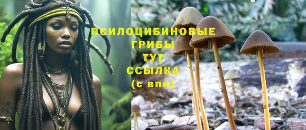 МДМА Лабытнанги