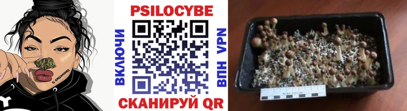 Галлюциногенные грибы мицелий  mega ТОР  Новоаннинский 