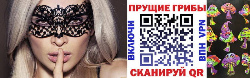 Псилоцибиновые грибы Psilocybe Новоаннинский